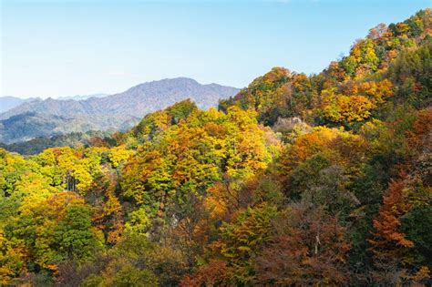 光霧山景區電話多少：探索其背后的人文自然與旅游信息查詢之道